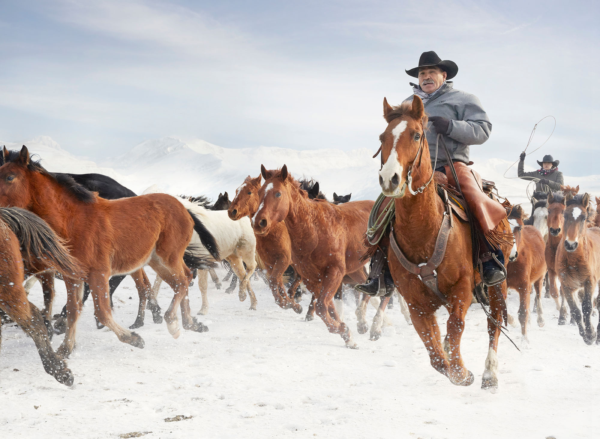 ARIAT53.4F_