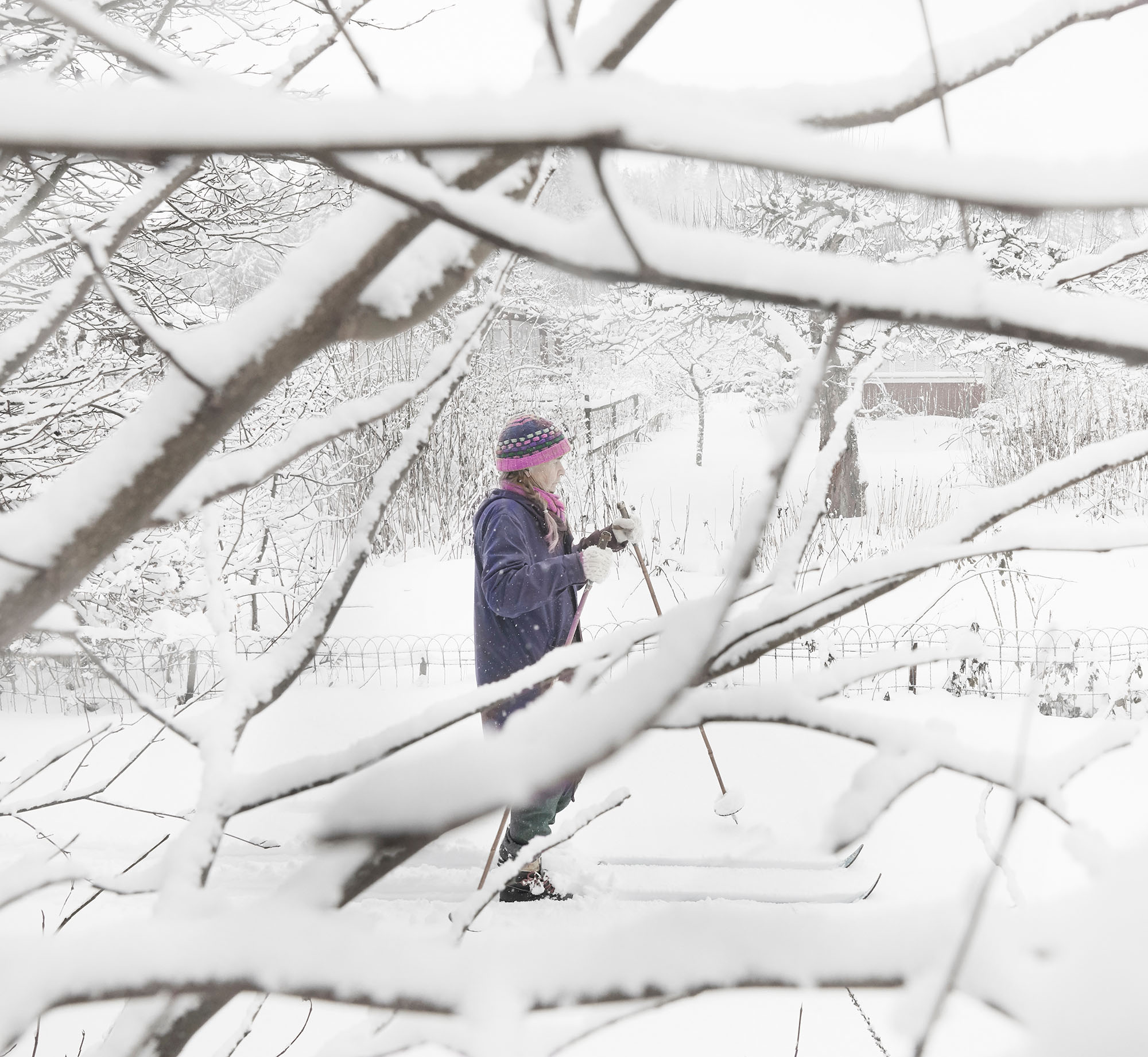 WINTERGARDENS28.2F_