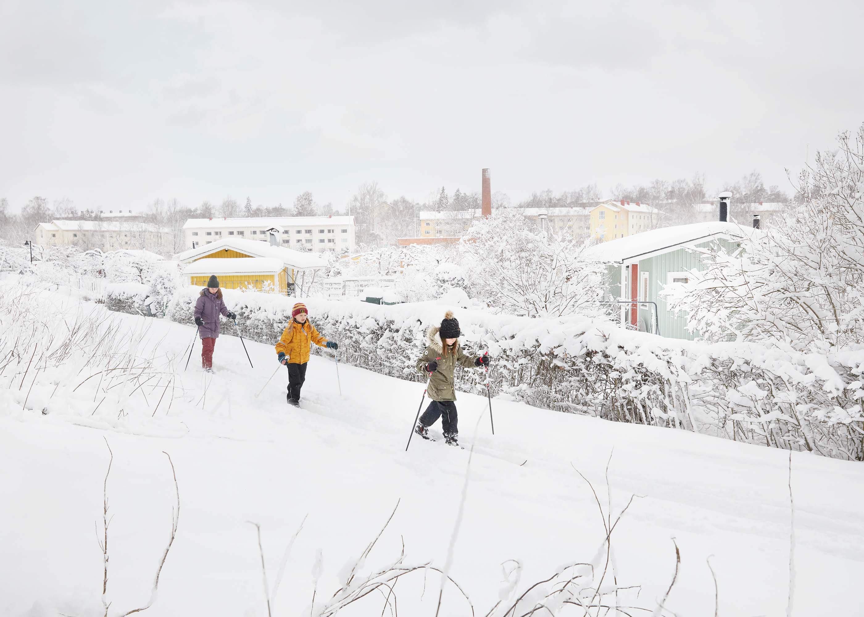 WINTERGARDENSWEB26F_
